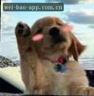 王强